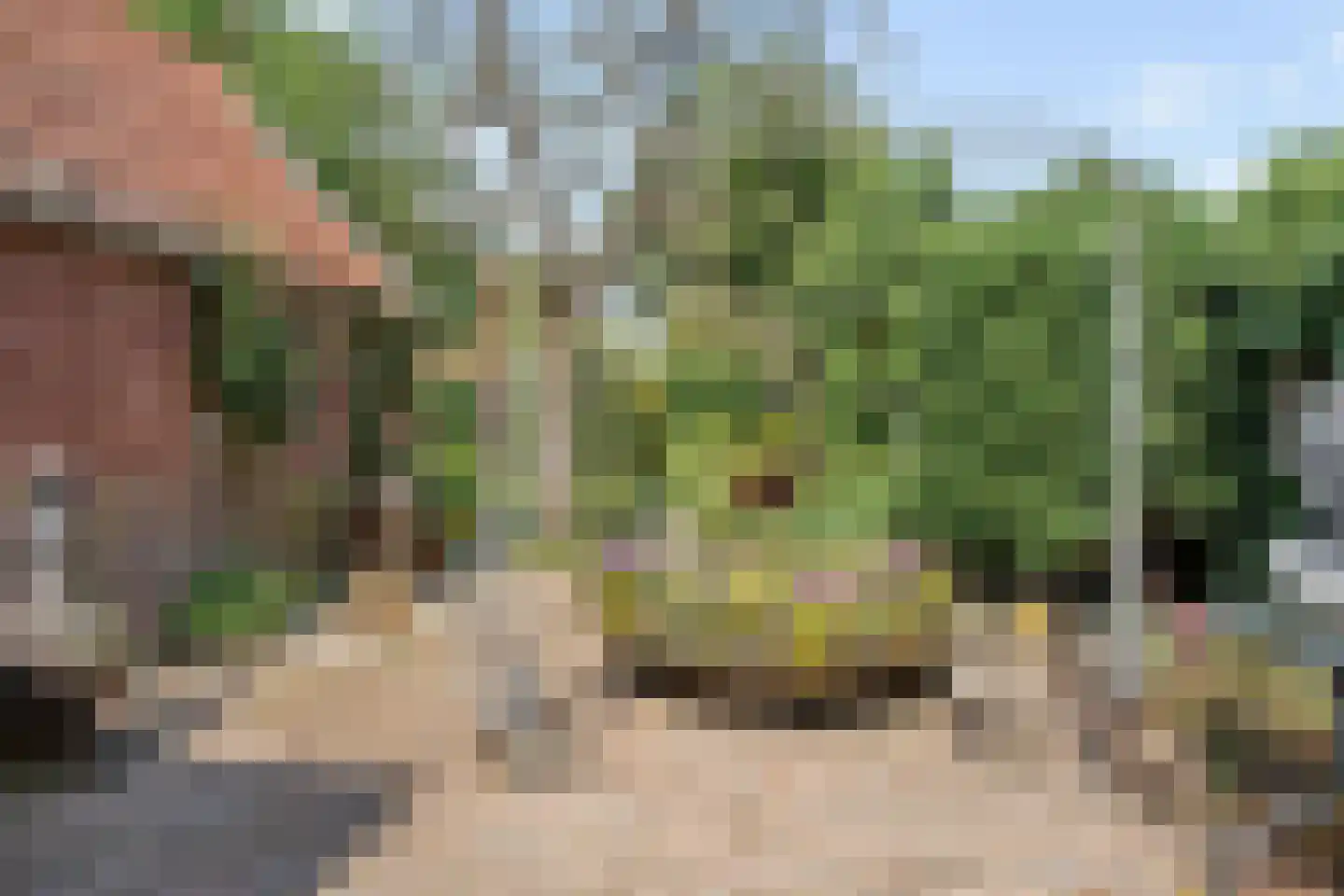 Kantonnaleweg 13 Utrecht thumbnail 26