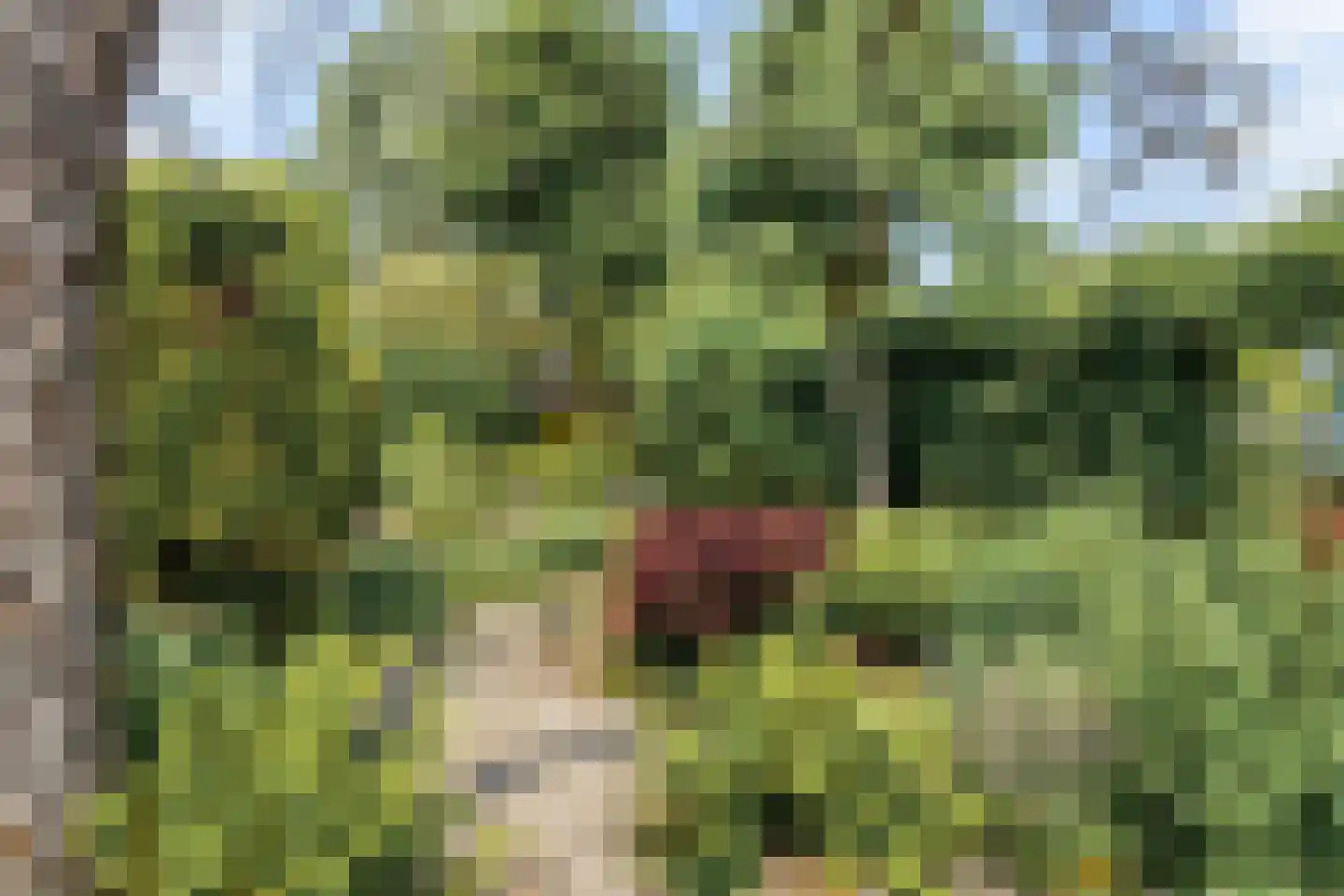 Kantonnaleweg 13 Utrecht thumbnail 29