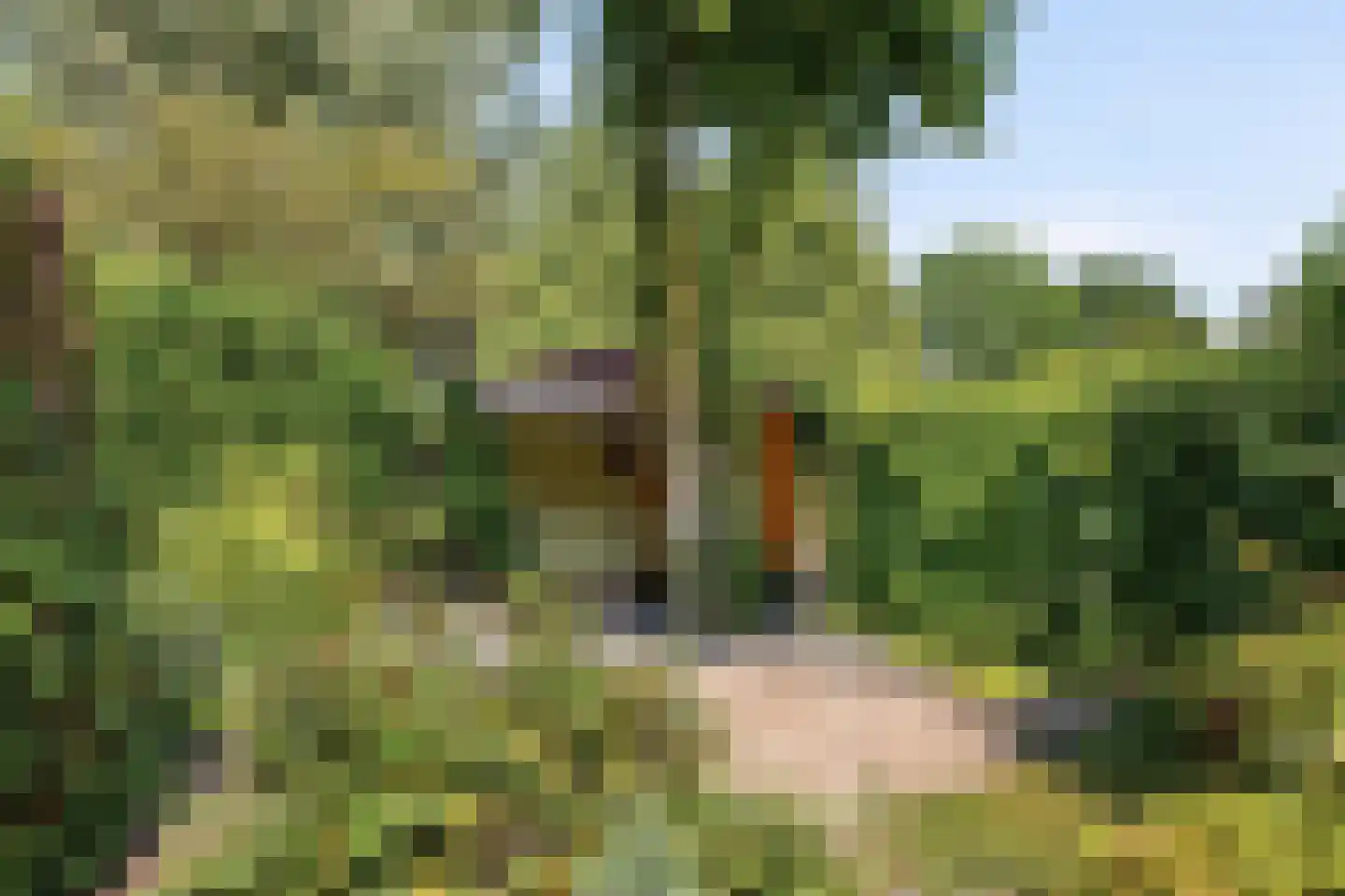 Kantonnaleweg 13 Utrecht thumbnail 30