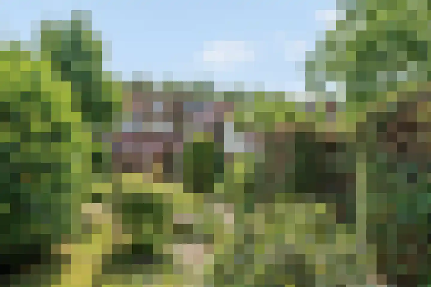 Kantonnaleweg 13 Utrecht thumbnail 32