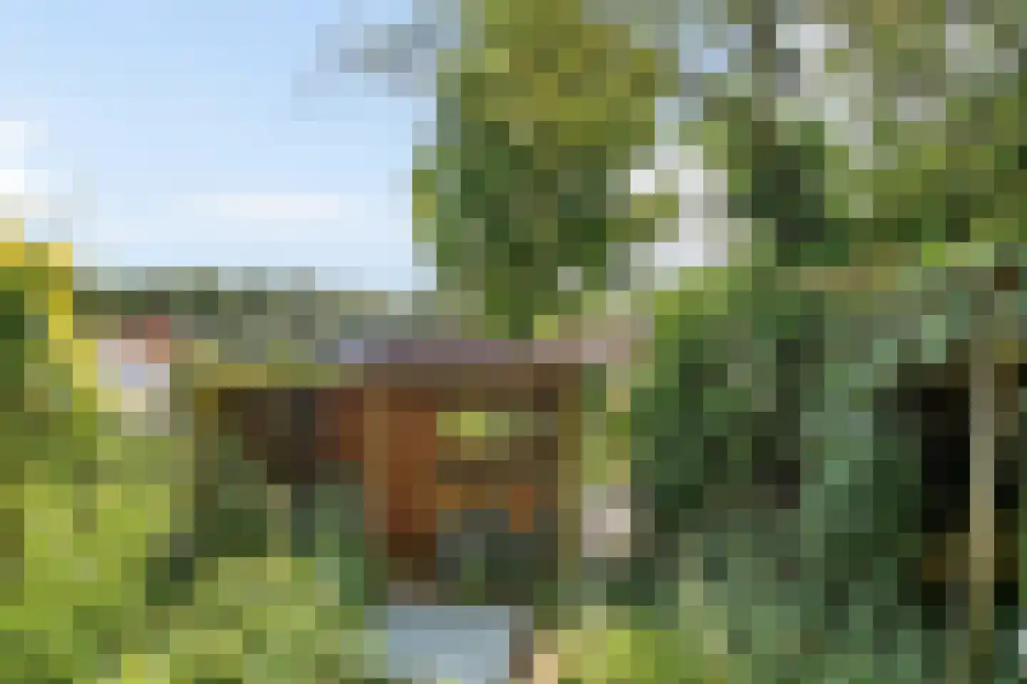 Kantonnaleweg 13 Utrecht thumbnail 34