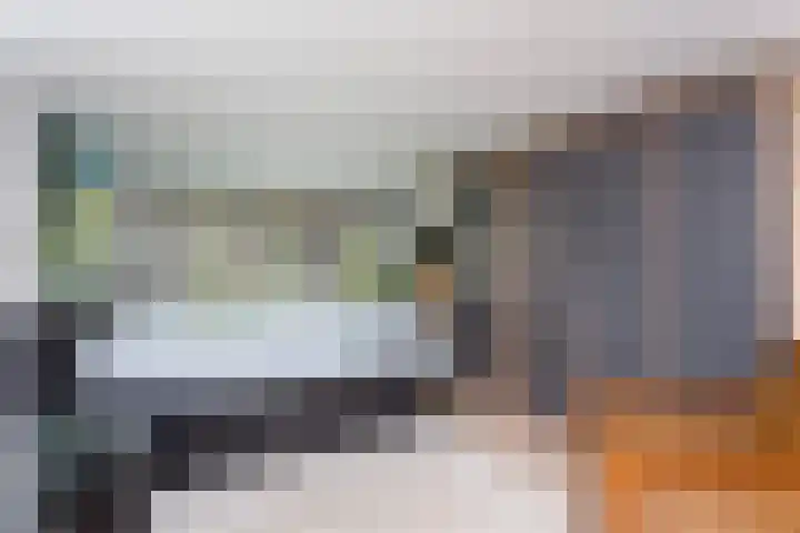 Kantonnaleweg 15 Utrecht thumbnail 16