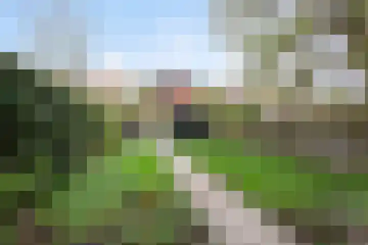 Kantonnaleweg 15 Utrecht thumbnail 21