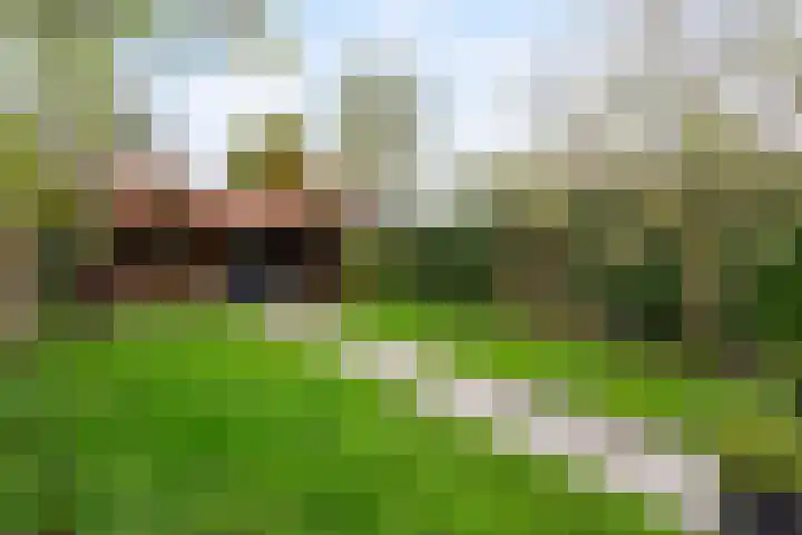 Kantonnaleweg 15 Utrecht thumbnail 22