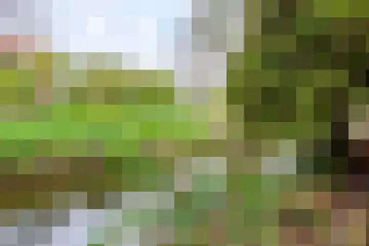 Kantonnaleweg 15 Utrecht thumbnail 24