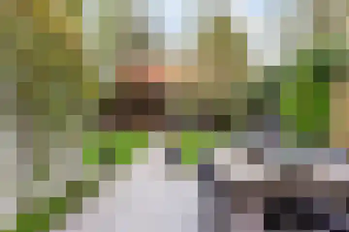 Kantonnaleweg 15 Utrecht thumbnail 25