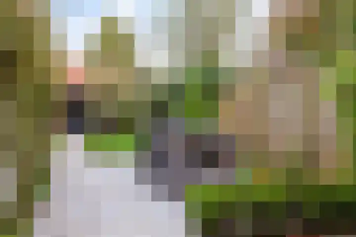 Kantonnaleweg 15 Utrecht thumbnail 26