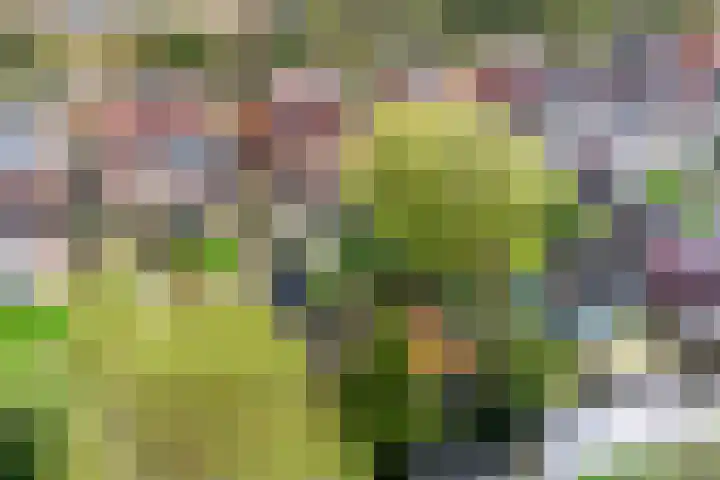 Kantonnaleweg 15 Utrecht thumbnail 29