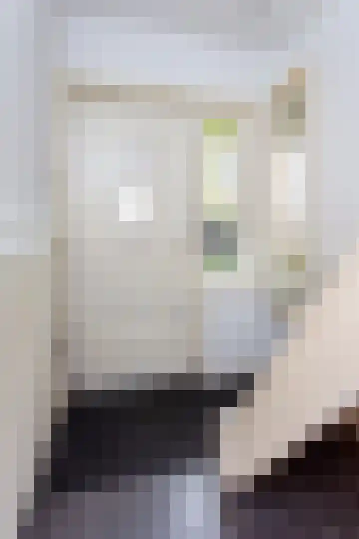 Kantonnaleweg 15 Utrecht thumbnail 31