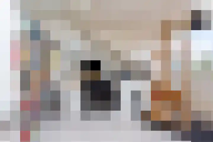 Kantonnaleweg 15 Utrecht thumbnail 44
