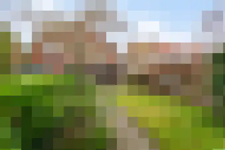 Kantonnaleweg 15 Utrecht thumbnail 47