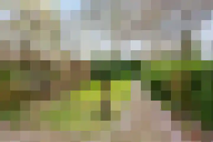 Kantonnaleweg 15 Utrecht thumbnail 48