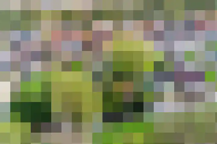 Kantonnaleweg 15 Utrecht thumbnail 50