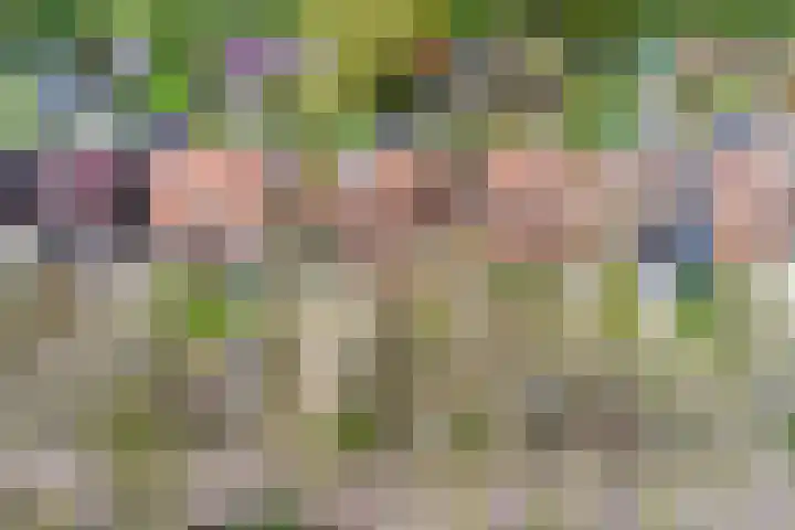 Kantonnaleweg 15 Utrecht thumbnail 51