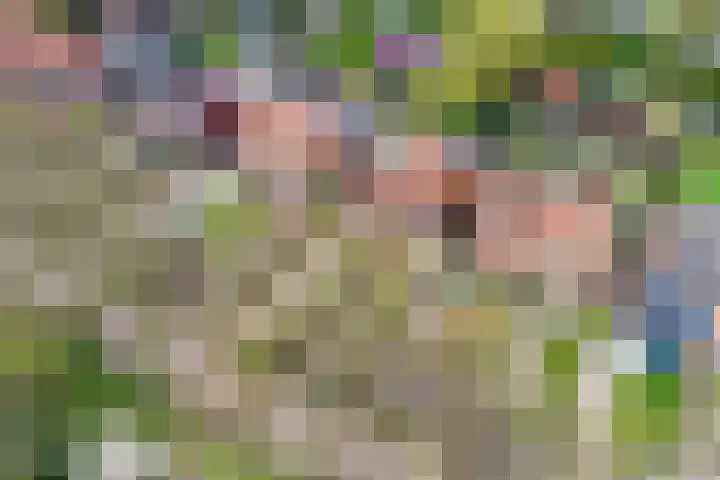 Kantonnaleweg 15 Utrecht thumbnail 52