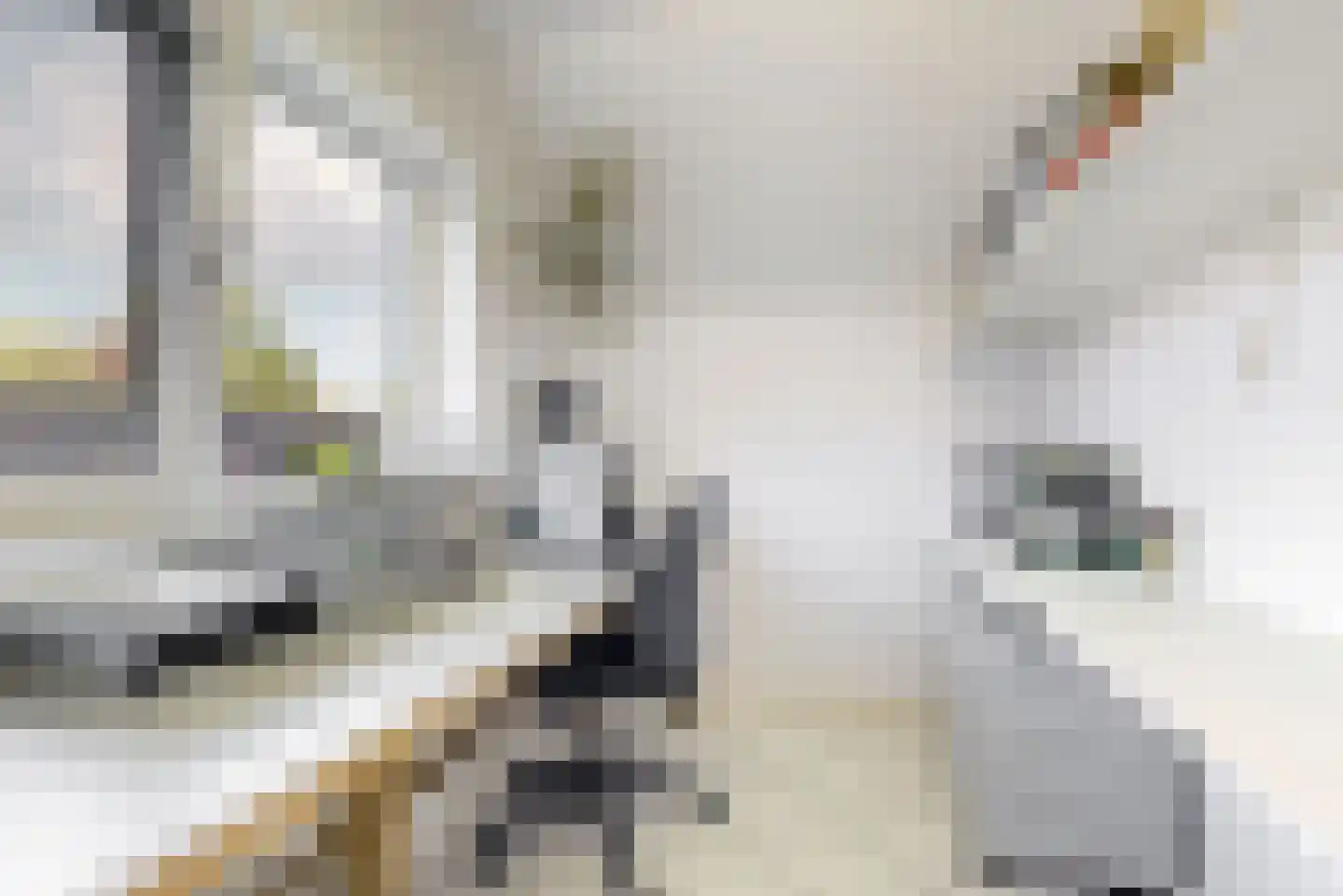 Kantonnaleweg 18 Utrecht thumbnail 21