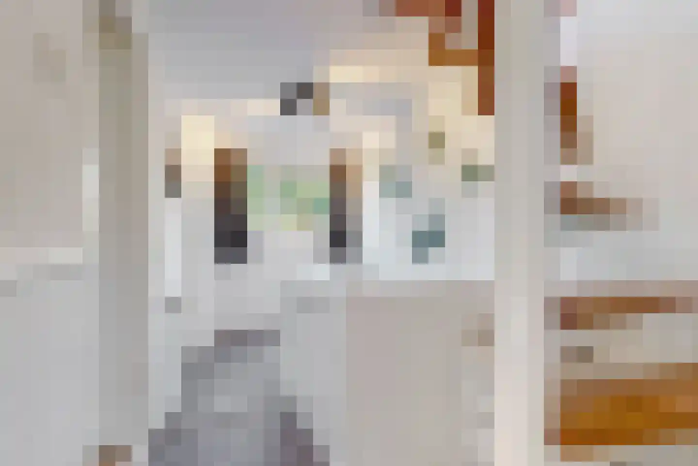 Kantonnaleweg 18 Utrecht thumbnail 23