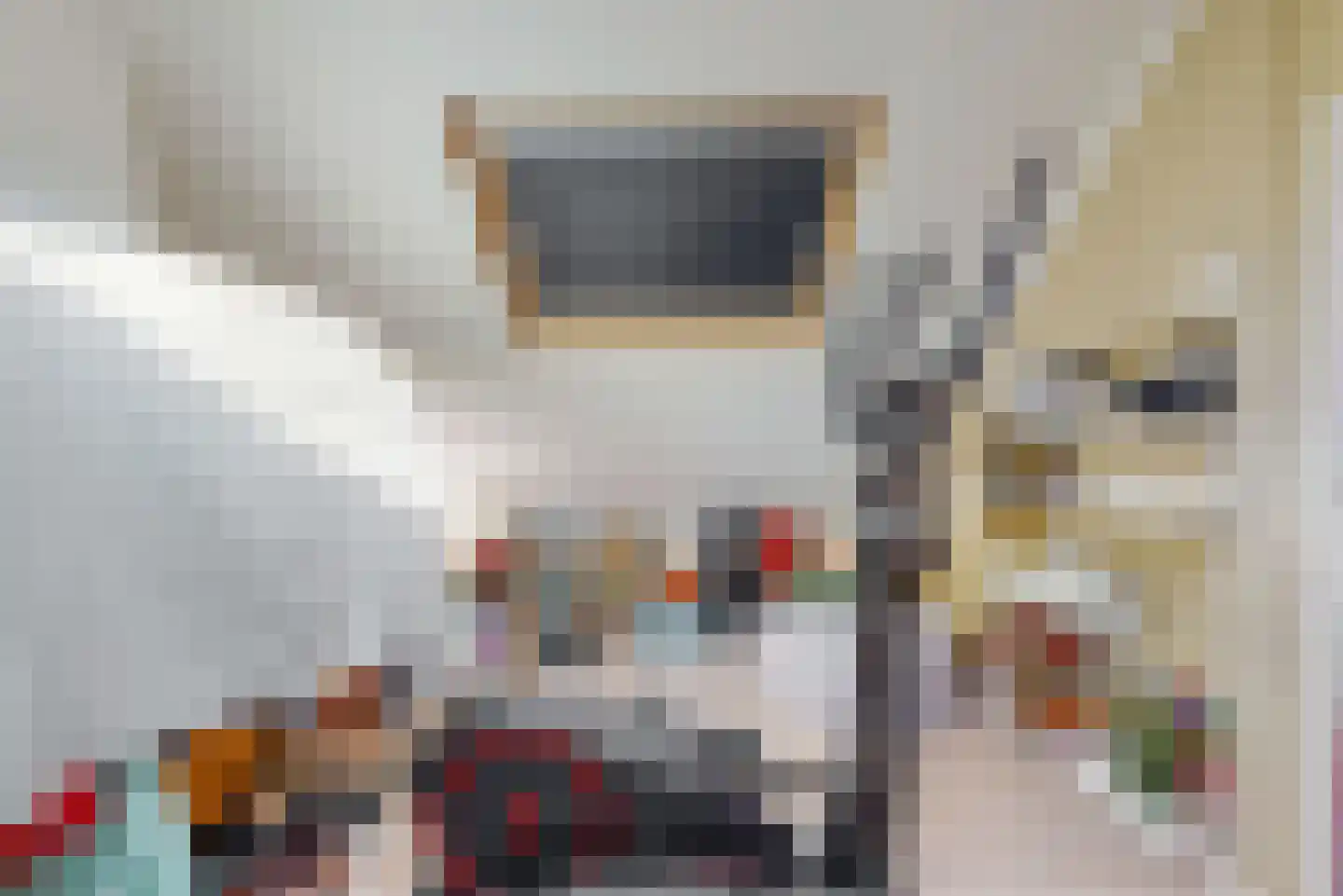 Kantonnaleweg 18 Utrecht thumbnail 31