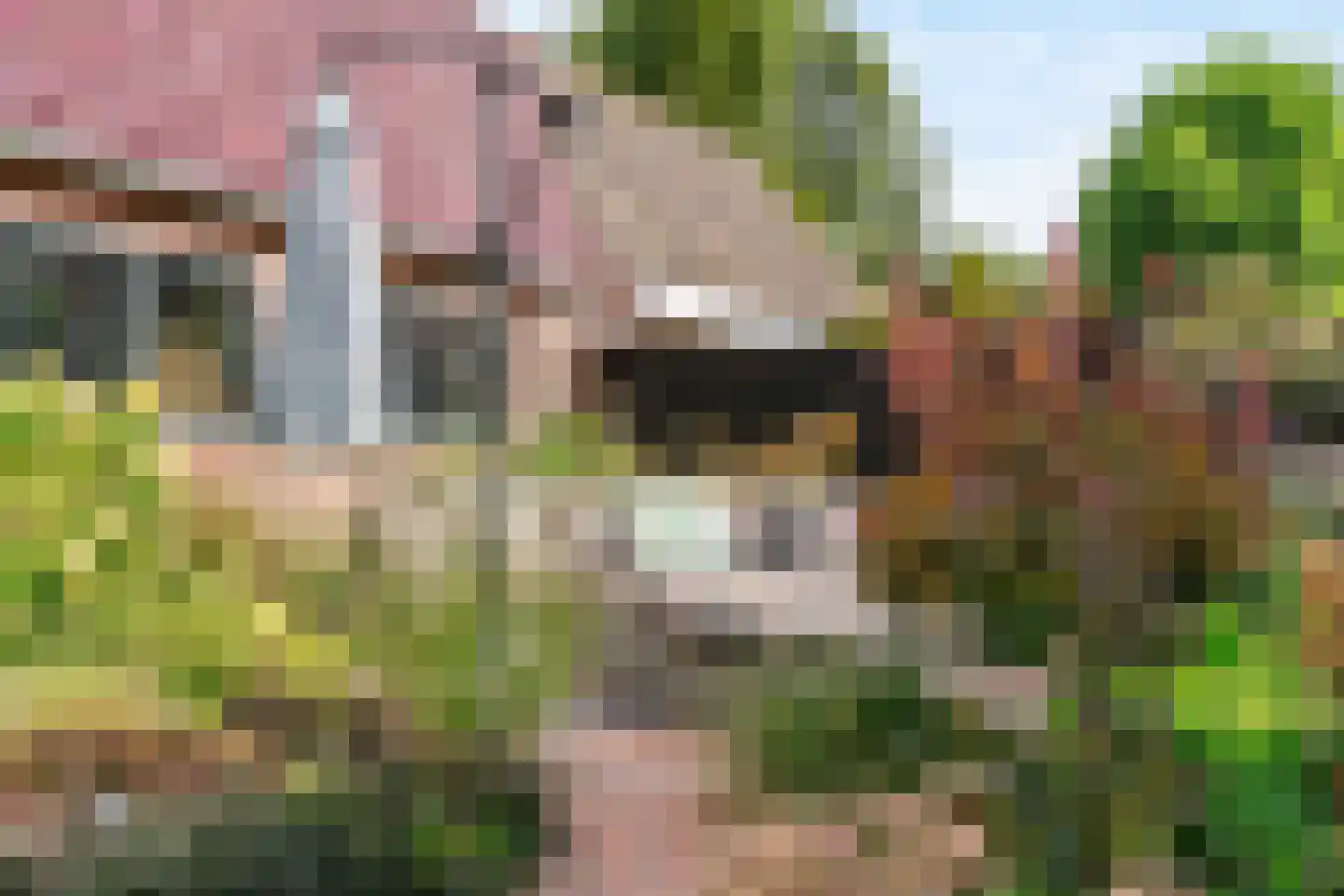 Kantonnaleweg 18 Utrecht thumbnail 37
