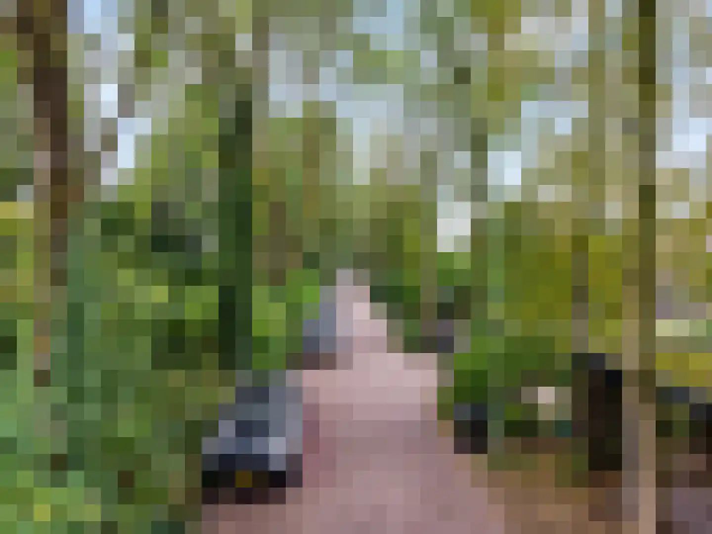 Kantonnaleweg 18 Utrecht thumbnail 5