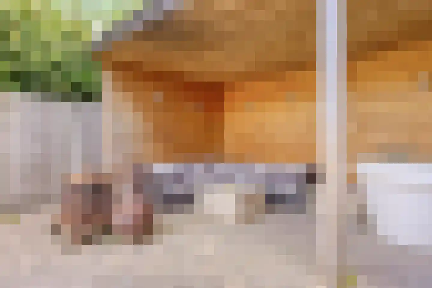 Kantonnier 9 Elst thumbnail 44