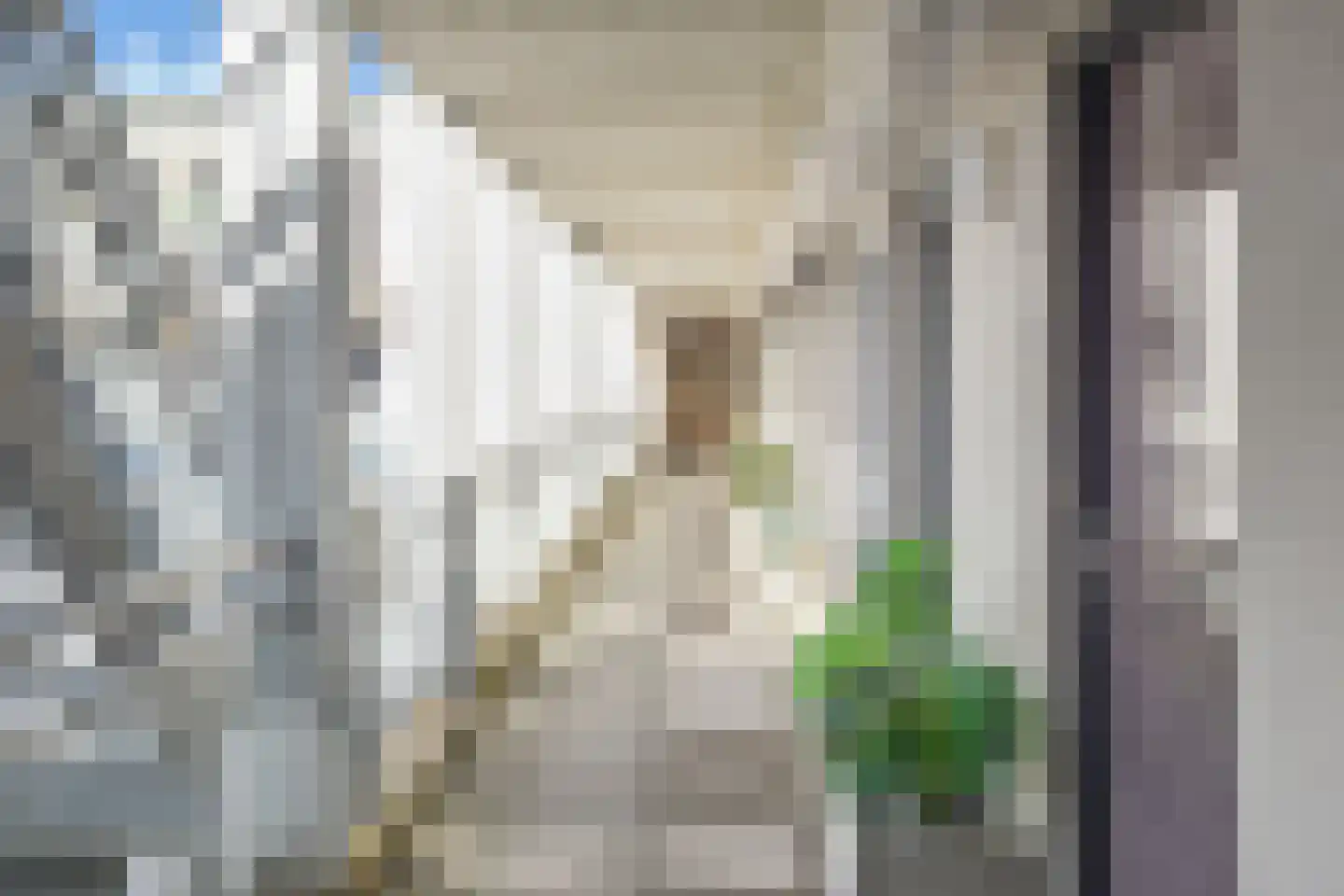 Kantoorgracht 74 B Delft thumbnail 8