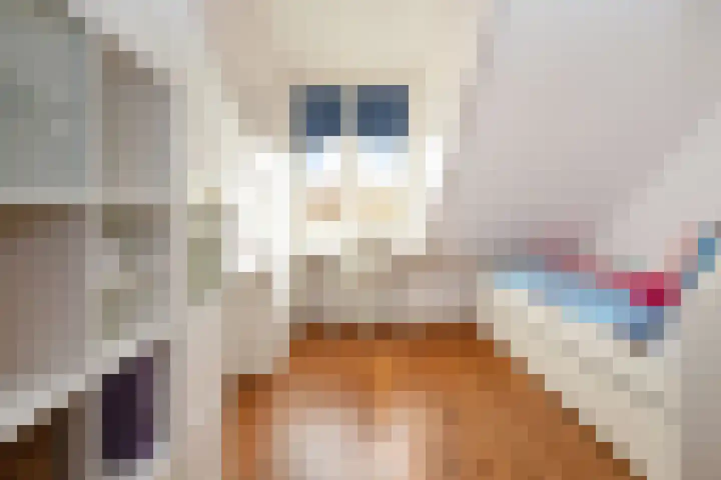 Kantoorgracht 74 H Delft thumbnail 38
