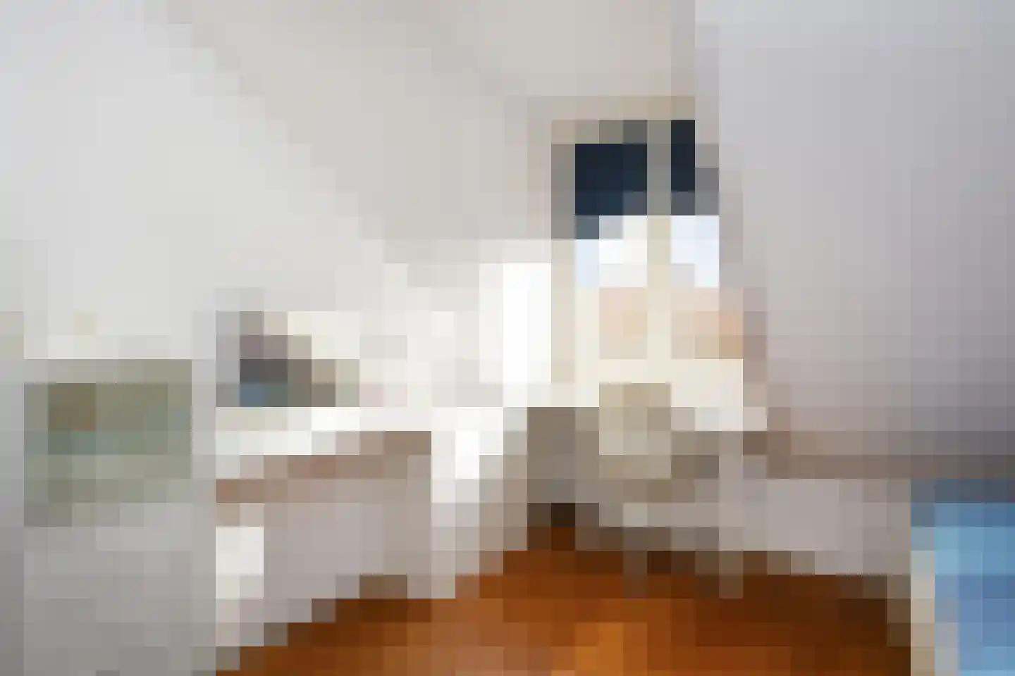 Kantoorgracht 74 H Delft thumbnail 39