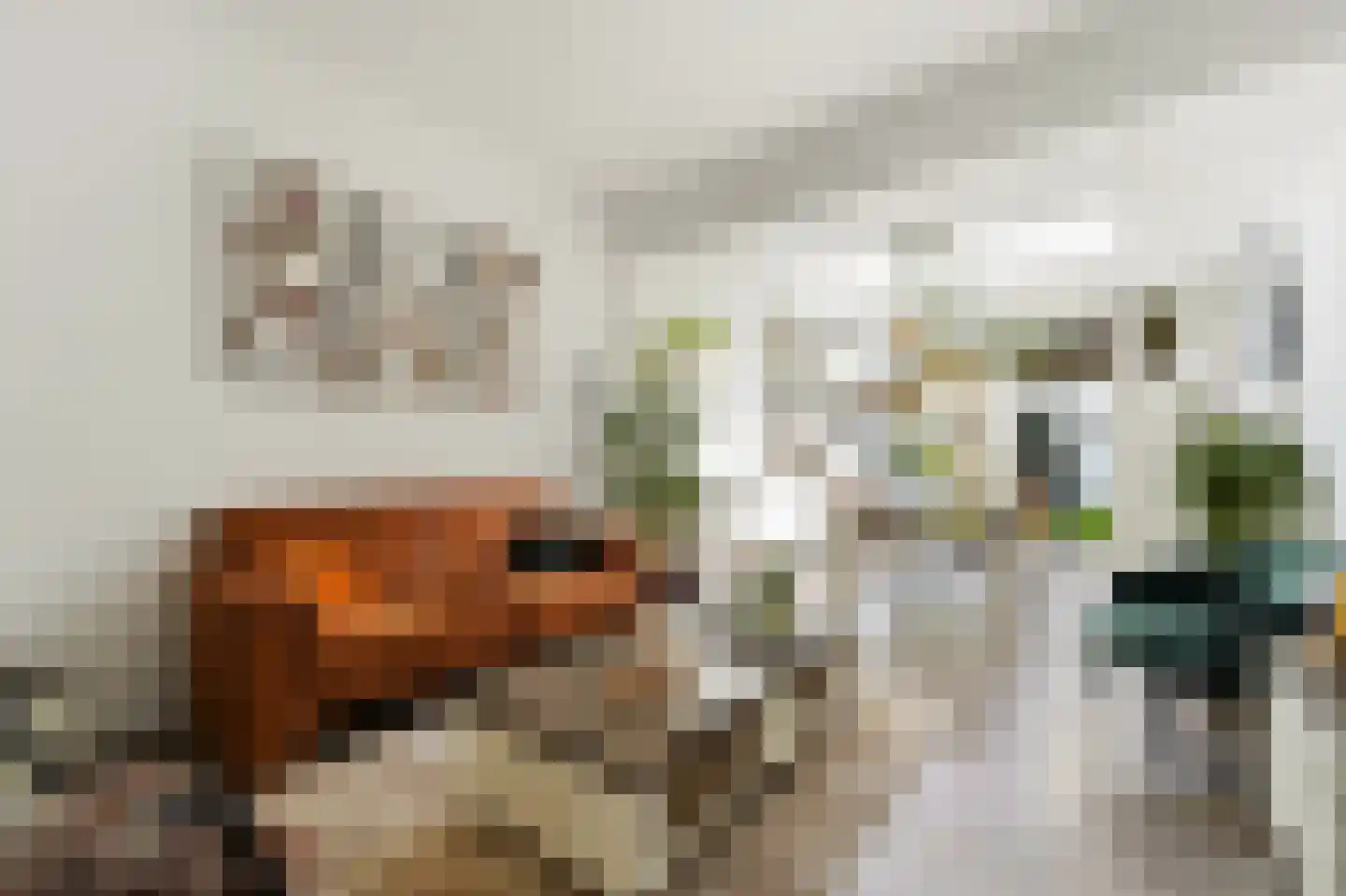 Kantoorgracht 8 Delft thumbnail 8
