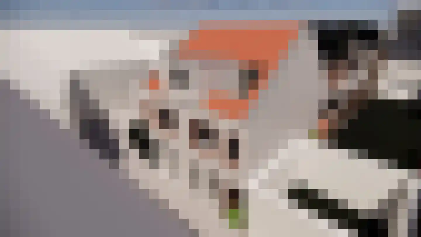 Kantoorstraat 10 Den Burg thumbnail 30