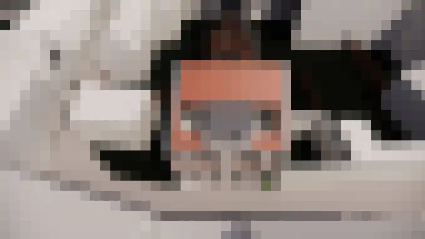 Kantoorstraat 10 Den Burg thumbnail 32
