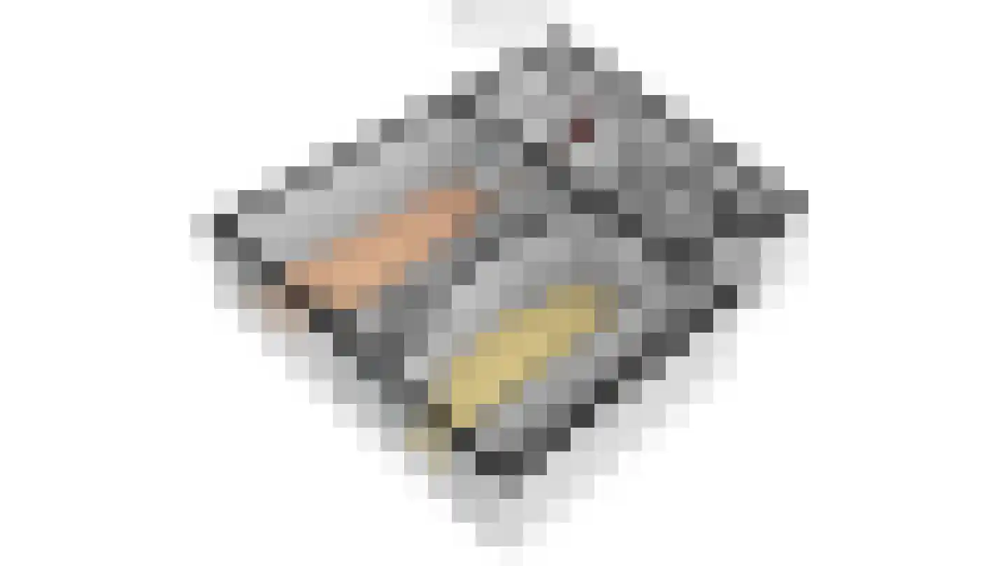 Kantoorstraat 10 Den Burg thumbnail 34