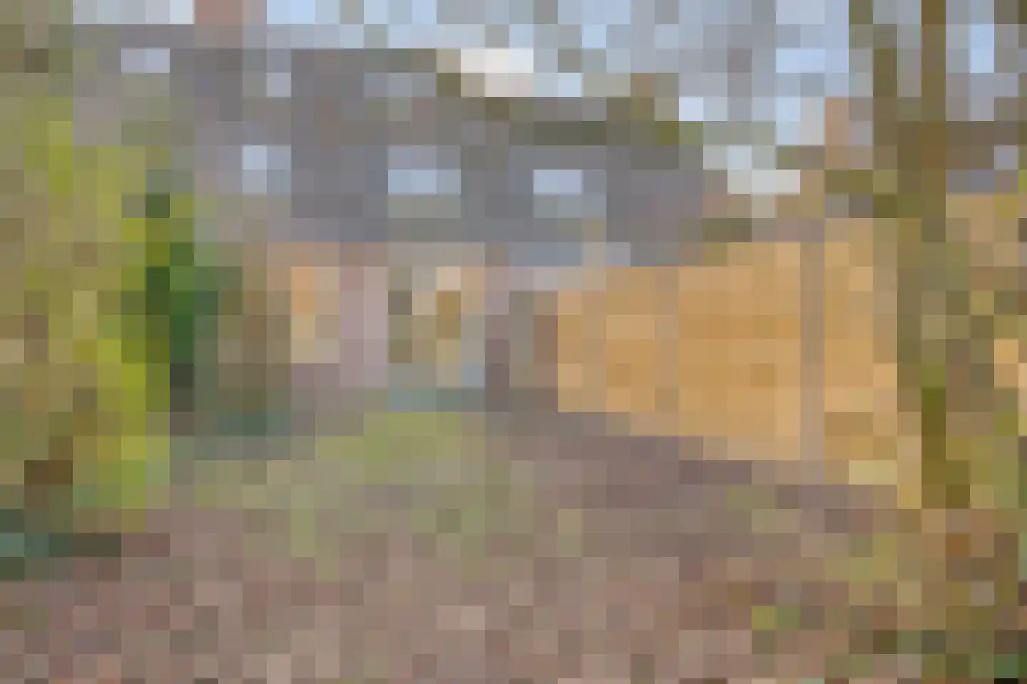 Kantorshoeve 18 Berlicum thumbnail 38