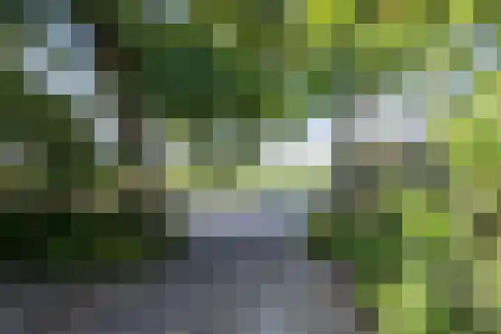 Kantsterweg 1 Eppenhuizen thumbnail 34