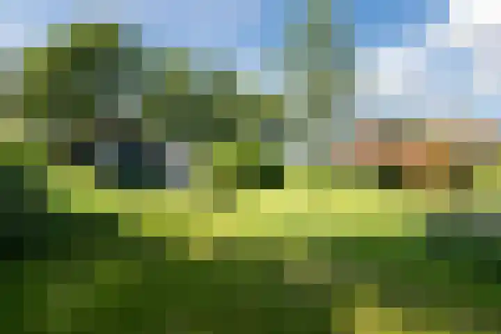 Kantsterweg 1 Eppenhuizen thumbnail 36