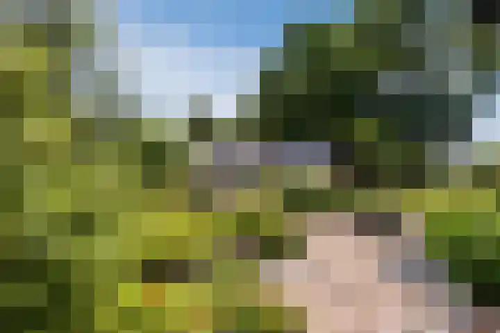 Kantsterweg 1 Eppenhuizen thumbnail 39