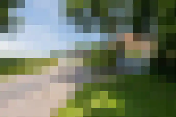 Kantsterweg 1 Eppenhuizen thumbnail 41