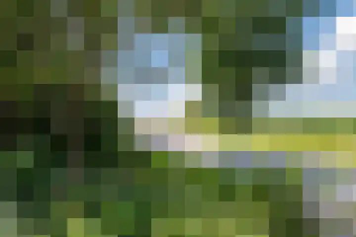 Kantsterweg 1 Eppenhuizen thumbnail 42