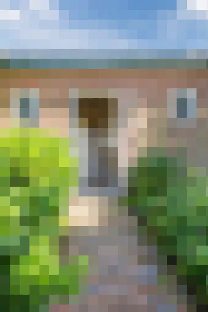 Kantsterweg 1 Eppenhuizen thumbnail 5
