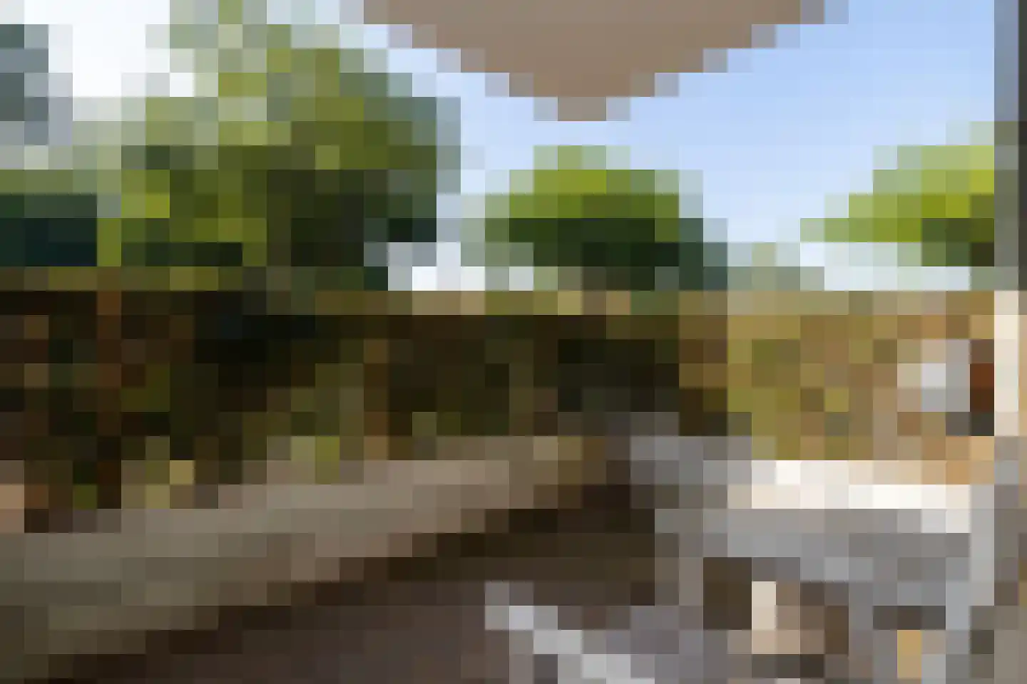 Kantstijl 25 Wateringen thumbnail 14