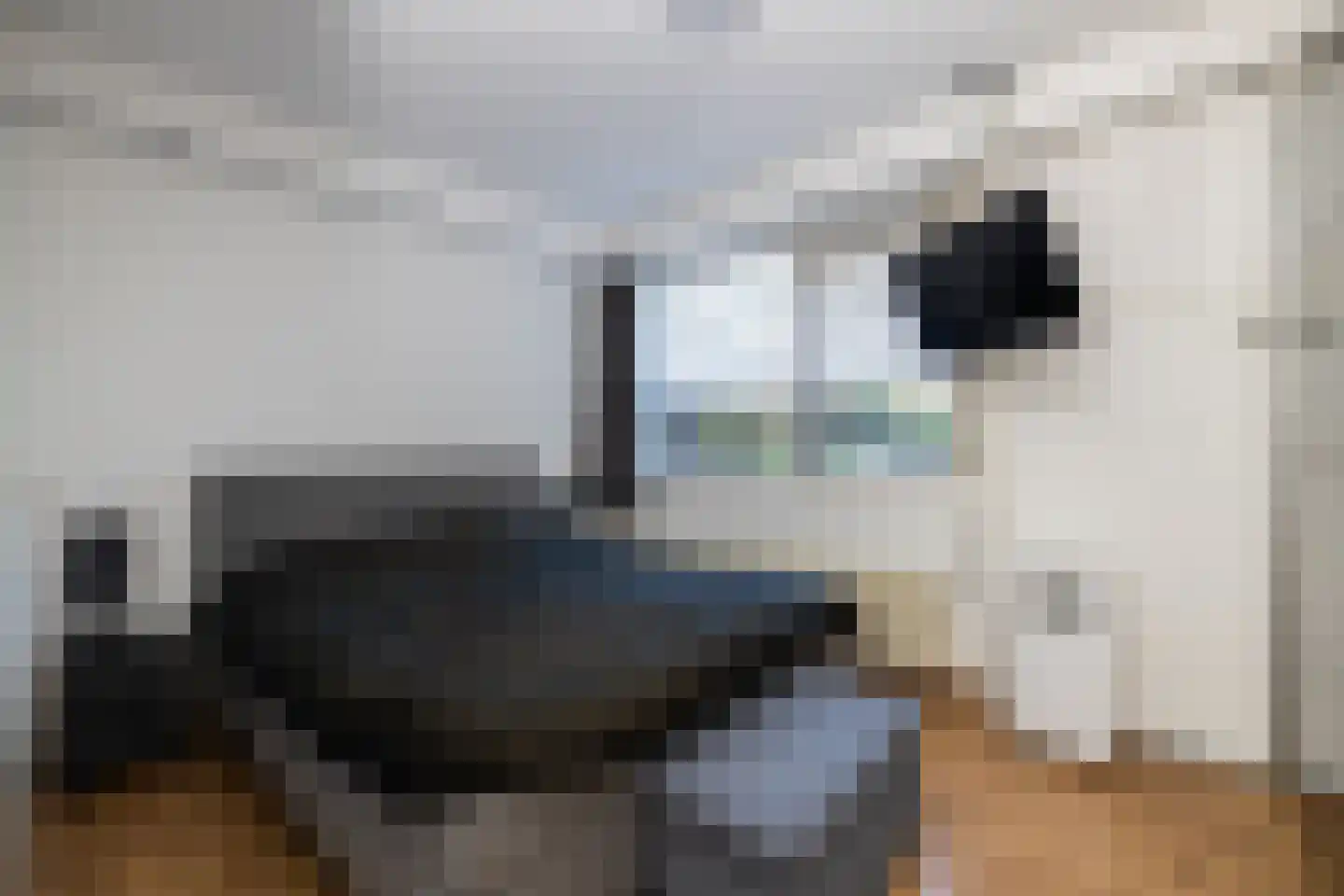 Kantstijl 25 Wateringen thumbnail 18
