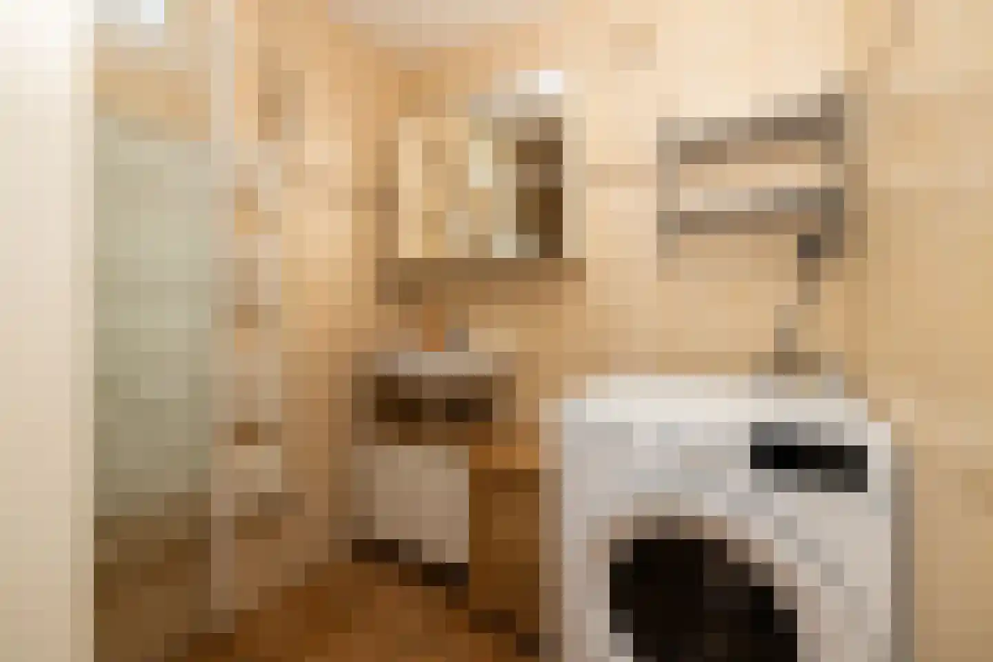 Kantstijl 25 Wateringen thumbnail 20