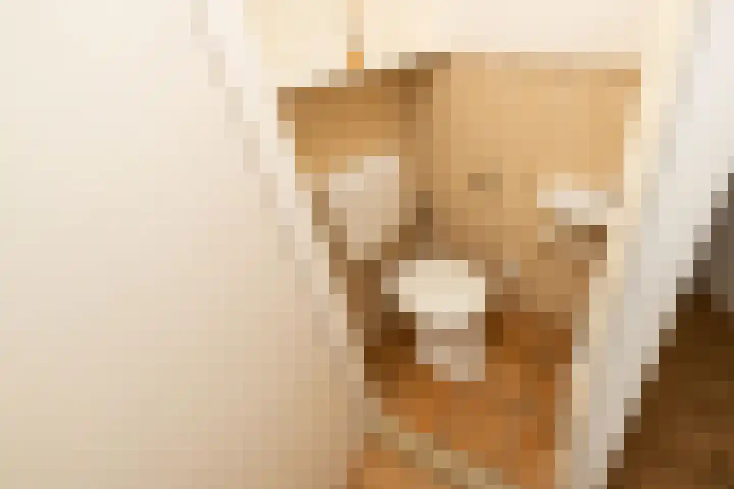 Kantstijl 25 Wateringen thumbnail 22