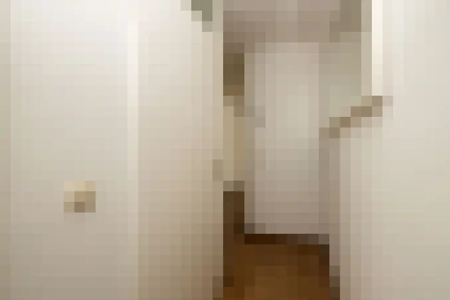 Kantstijl 25 Wateringen thumbnail 24