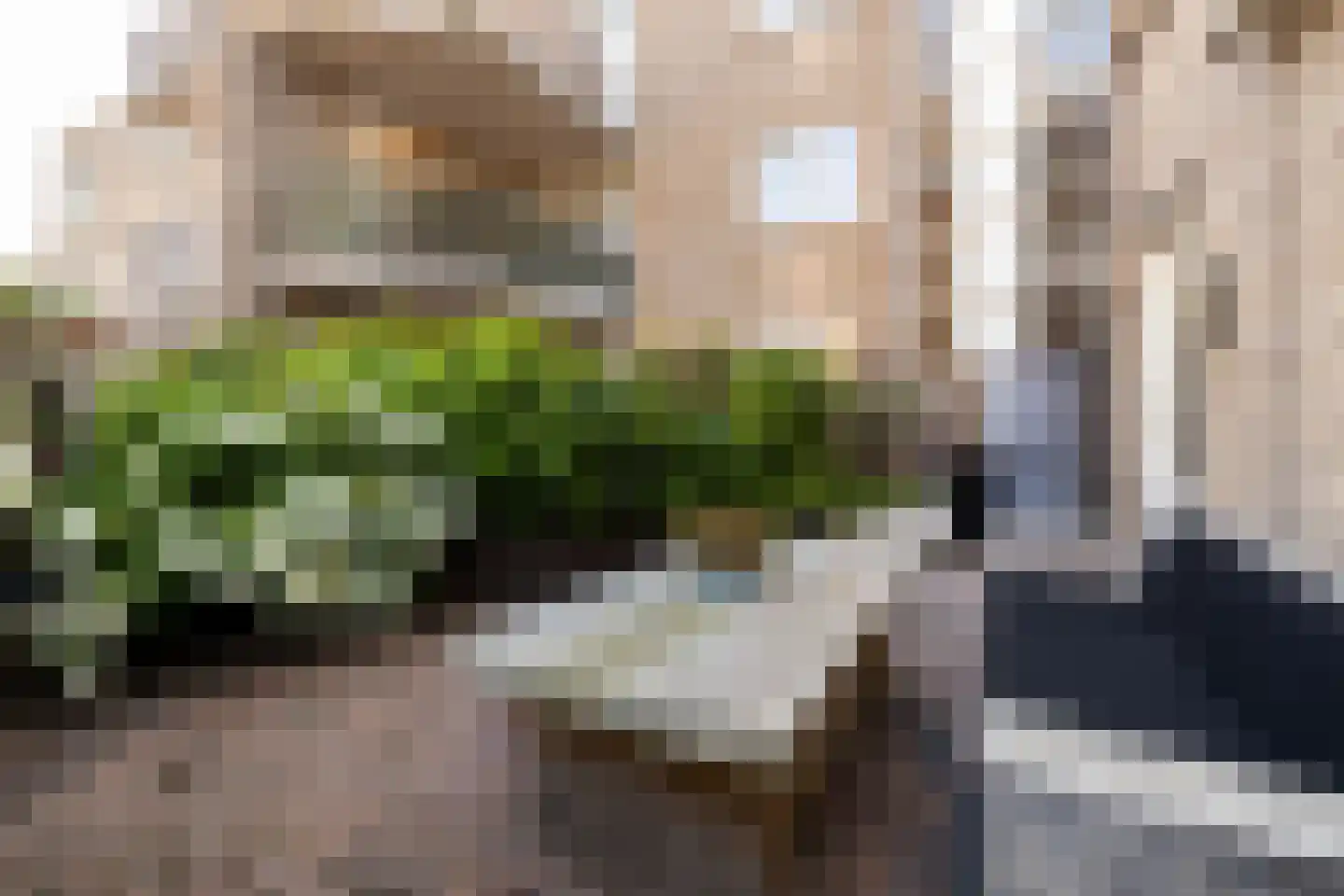 Kantstijl 25 Wateringen thumbnail 25