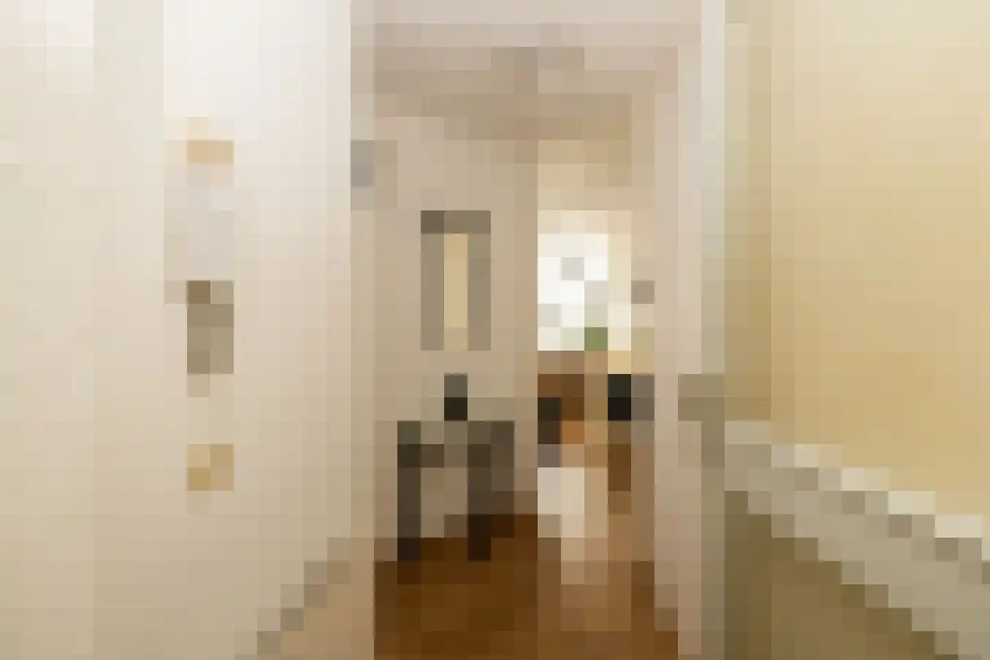 Kantstijl 25 Wateringen thumbnail 9