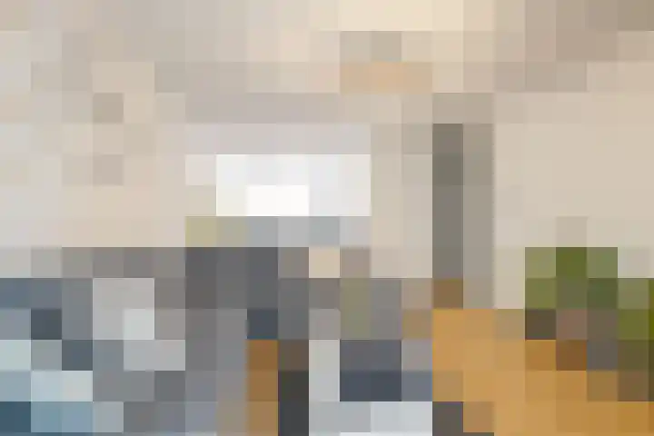 Kantstijl 34 Wateringen thumbnail 11