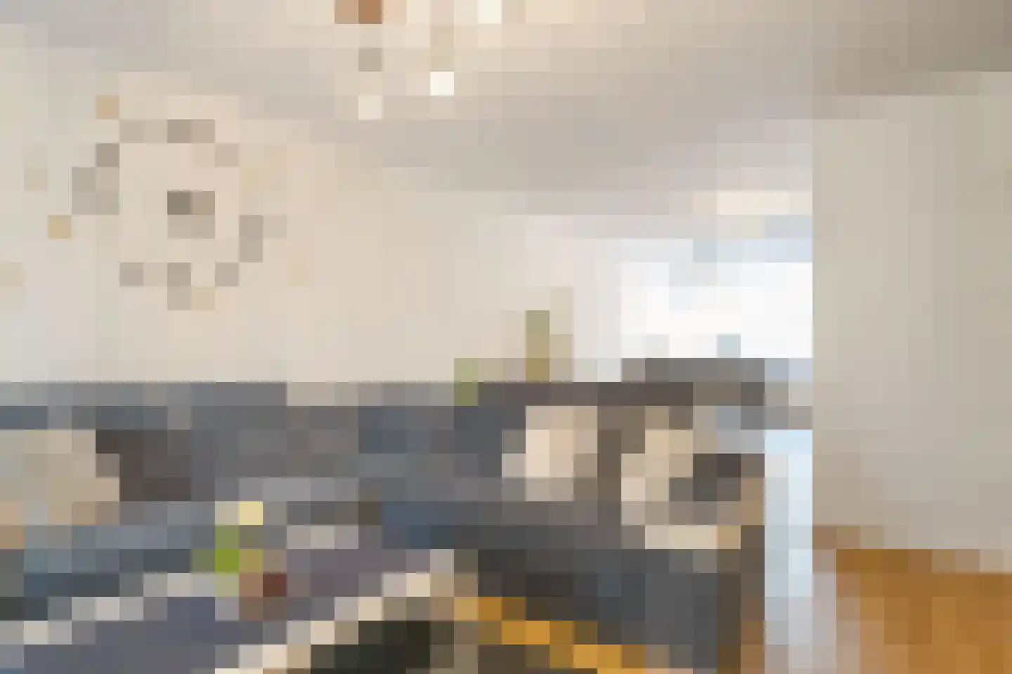 Kantstijl 34 Wateringen thumbnail 11