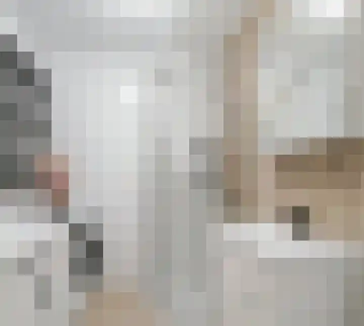 Kantstijl 34 Wateringen thumbnail 14