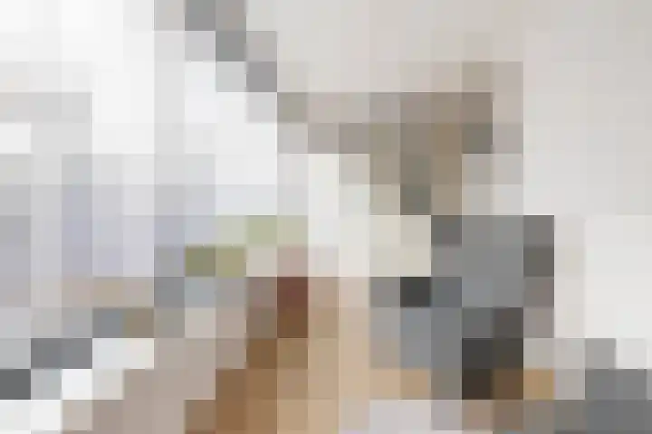 Kantstijl 34 Wateringen thumbnail 15